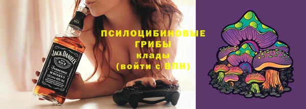 apvp Переславль-Залесский