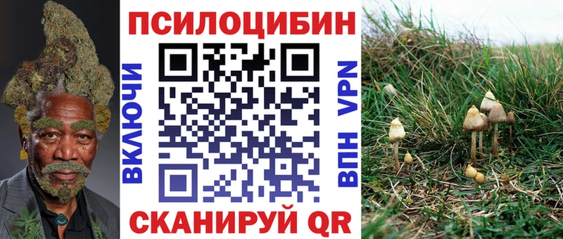 Галлюциногенные грибы GOLDEN TEACHER  Кизел 